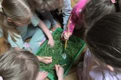 Messenger_creation_4E16E7B1-B042-430A-A78C-D537C5FBBD04